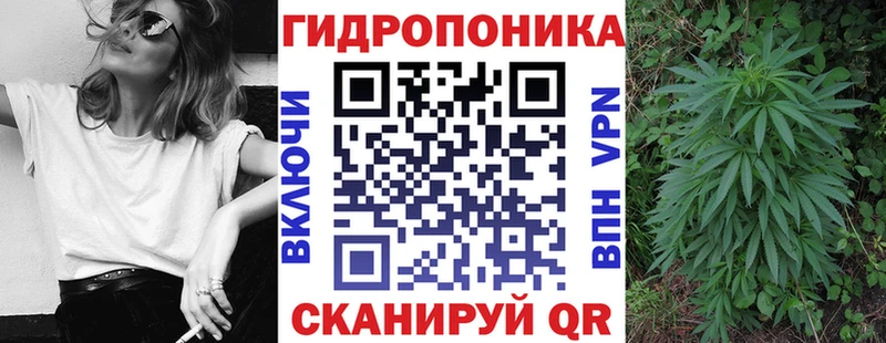 Бошки Шишки Bruce Banner  Купить закладки  Черногорск 